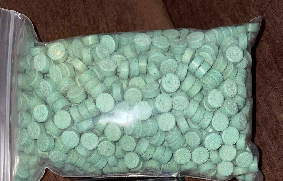 Ngựa